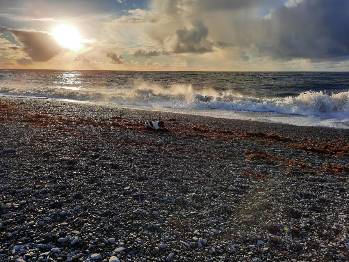 Cliff Haven Villa Borth Dış mekan fotoğraf